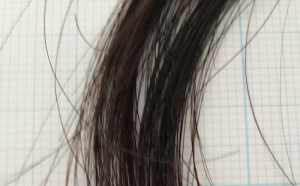 髪の毛100本の量